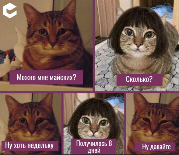 Как отдыхаем на майские праздники Как отдыхаем на майские праздники.